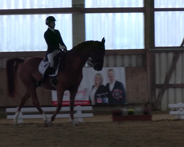 Reitturnier Werdohl-Rentrop 2023