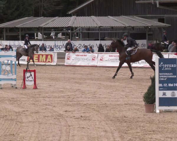 Reitturnier Ranshofen - Braunau am Inn 2023