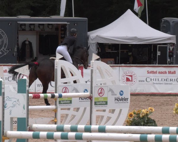 Reitturnier Ranshofen - Braunau am Inn 2023