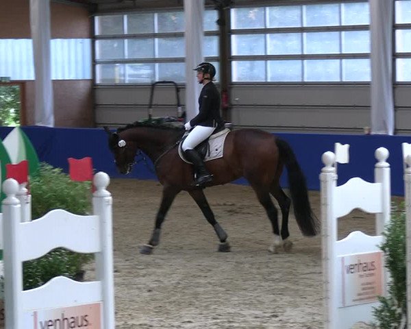 Reitturnier Isterberg 2023