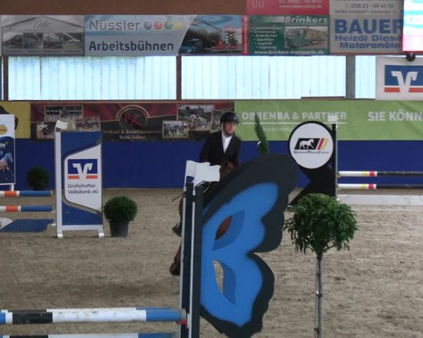 Reitturnier Isterberg 2023