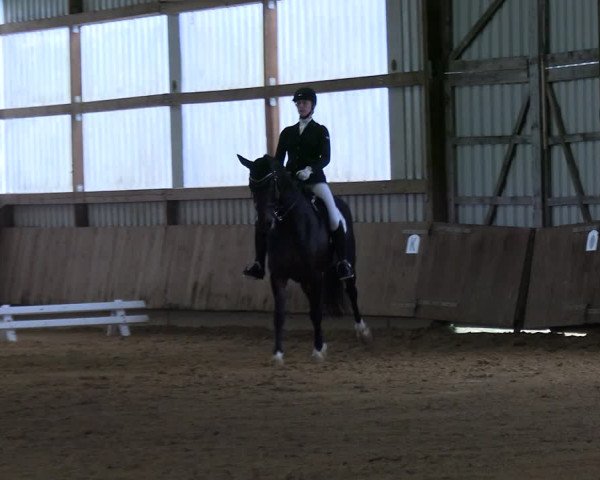 Reitturnier Werdohl-Rentrop 2023