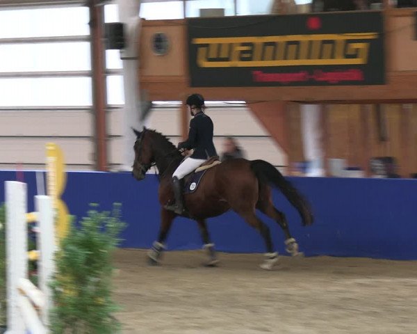 Reitturnier Isterberg 2023