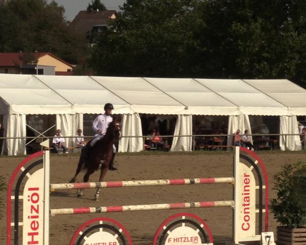 Reitturnier Heiligenwald 2023