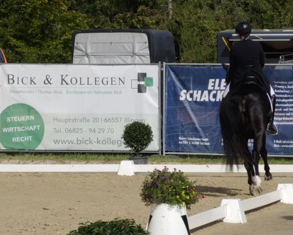 Reitturnier Heiligenwald 2023