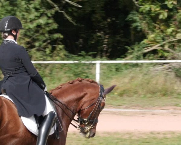 Reitturnier Heiligenwald 2023