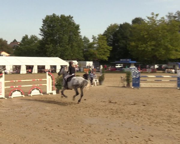 Reitturnier Heiligenwald 2023