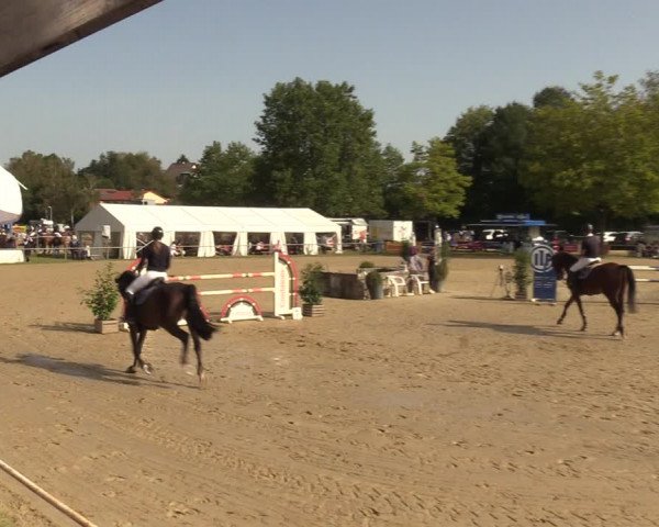 Reitturnier Heiligenwald 2023