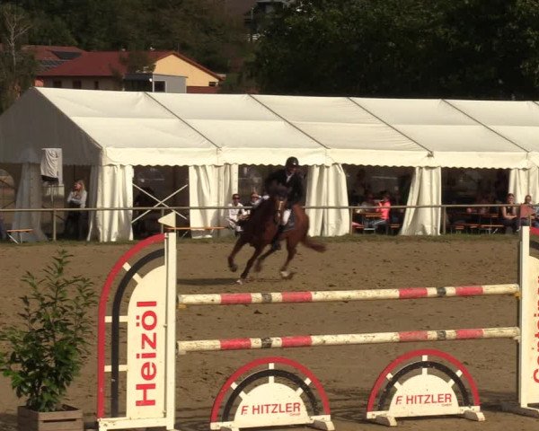 Reitturnier Heiligenwald 2023