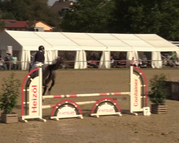 Reitturnier Heiligenwald 2023
