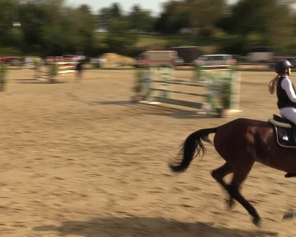 Reitturnier Heiligenwald 2023