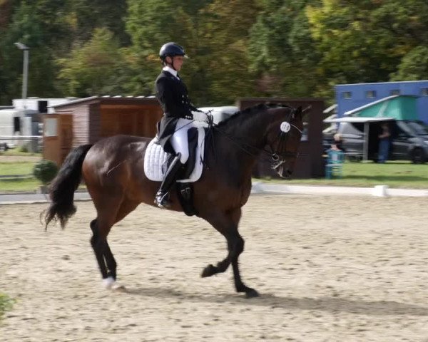 Reitturnier Heiligenwald 2023