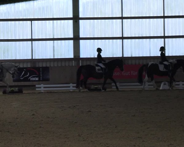 Reitturnier Werdohl-Rentrop 2023