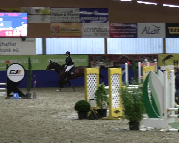 Reitturnier Isterberg 2023