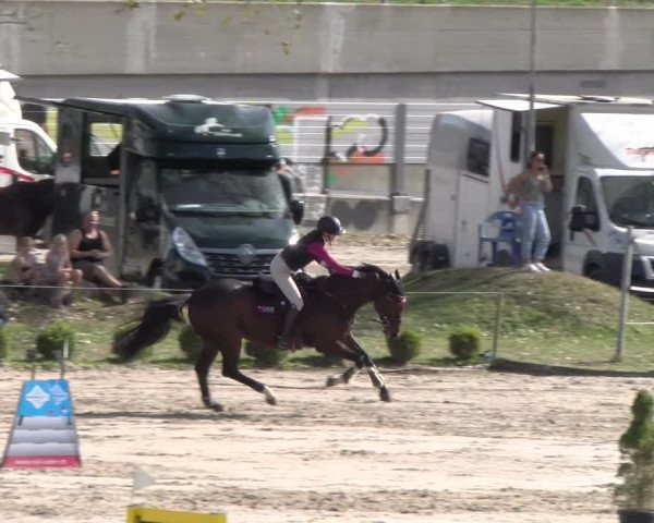 Reitturnier Basel 2023