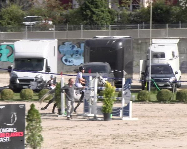 Reitturnier Basel 2023