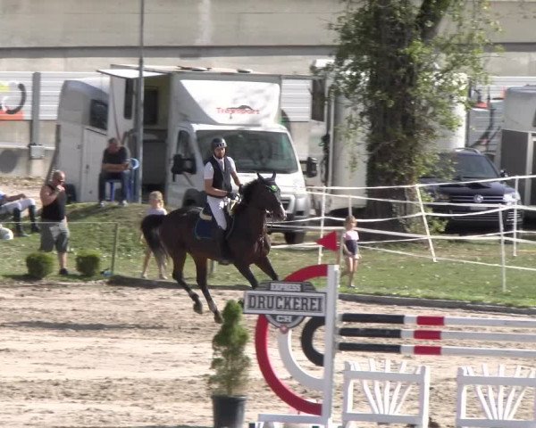 Reitturnier Basel 2023