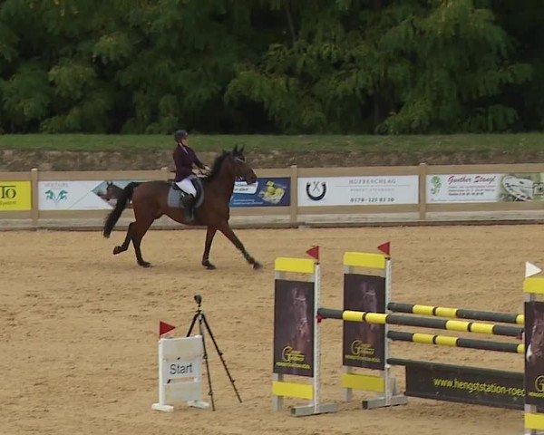 Reitturnier Tiefenhof/Opf. 2023