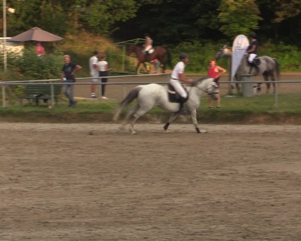Reitturnier Lgl.-Oberhain, B95 2021
