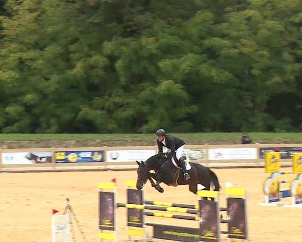 Reitturnier Tiefenhof/Opf. 2023