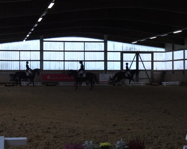 Reitturnier Werdohl-Rentrop 2023