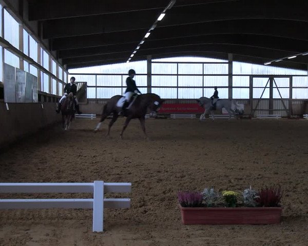 Reitturnier Werdohl-Rentrop 2023