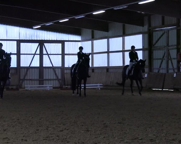 Reitturnier Werdohl-Rentrop 2023