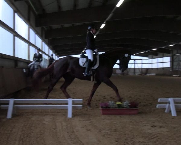 Reitturnier Werdohl-Rentrop 2023