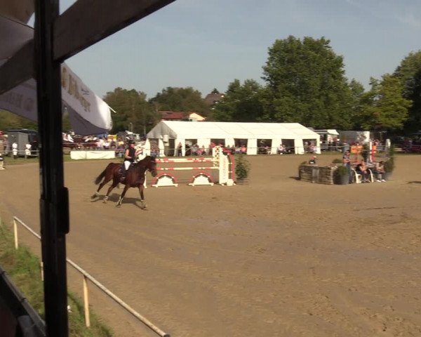 Reitturnier Heiligenwald 2023