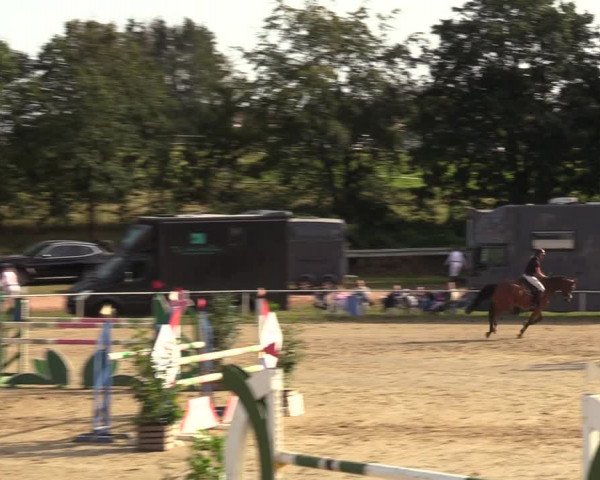Reitturnier Heiligenwald 2023