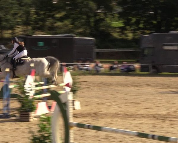 Reitturnier Heiligenwald 2023