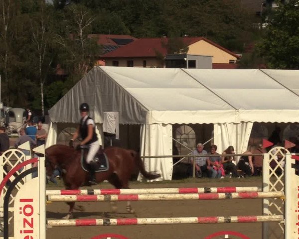 Reitturnier Heiligenwald 2023