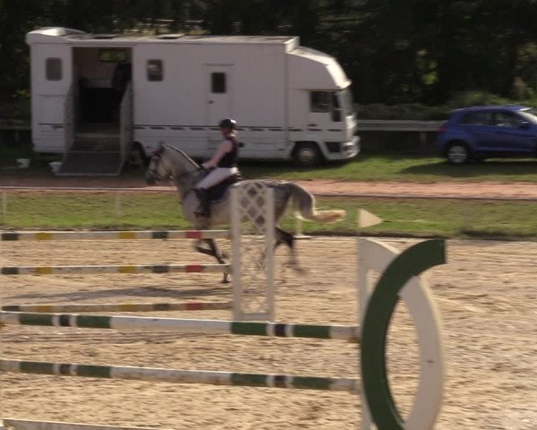 Reitturnier Heiligenwald 2023