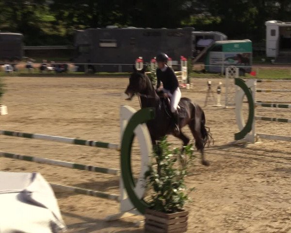 Reitturnier Heiligenwald 2023