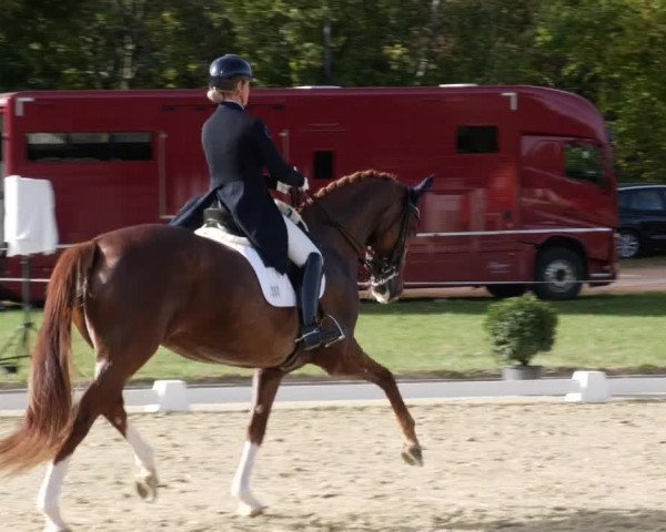 Reitturnier Heiligenwald 2023