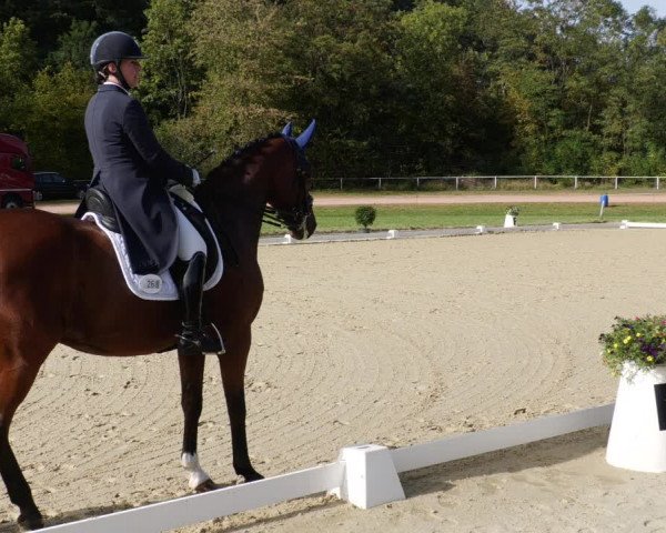 Reitturnier Heiligenwald 2023