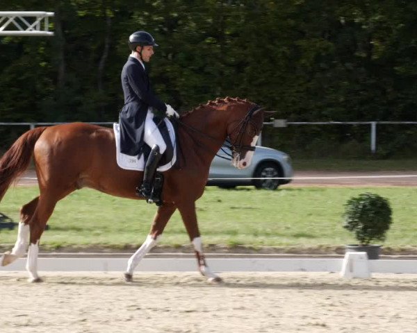 Reitturnier Heiligenwald 2023