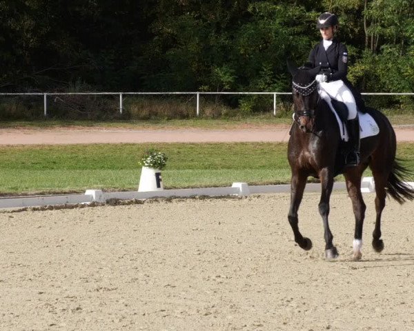 Reitturnier Heiligenwald 2023