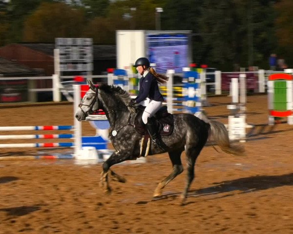 Reitturnier Teupitz 2023