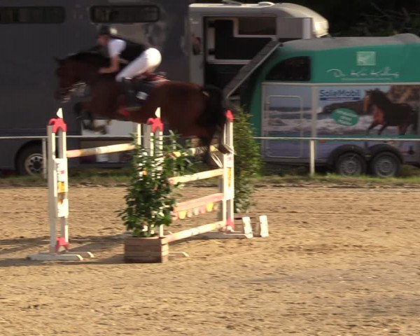 Reitturnier Heiligenwald 2023