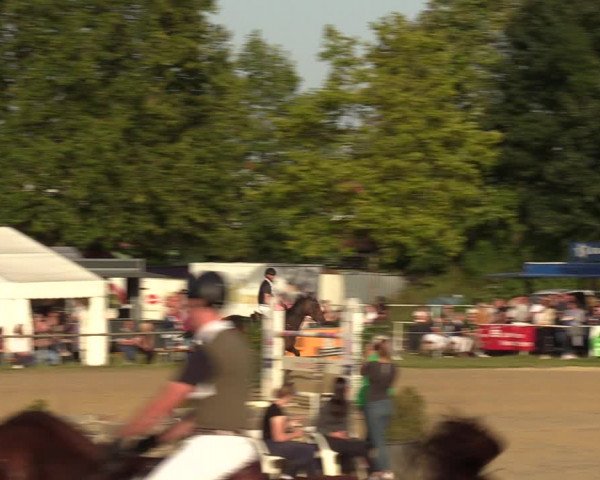Reitturnier Heiligenwald 2023