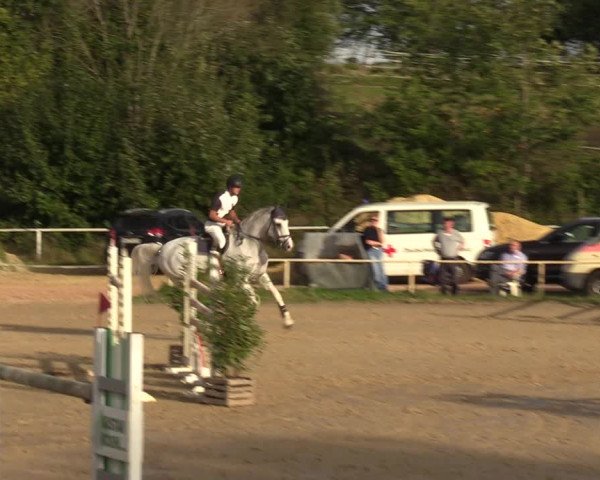 Reitturnier Heiligenwald 2023