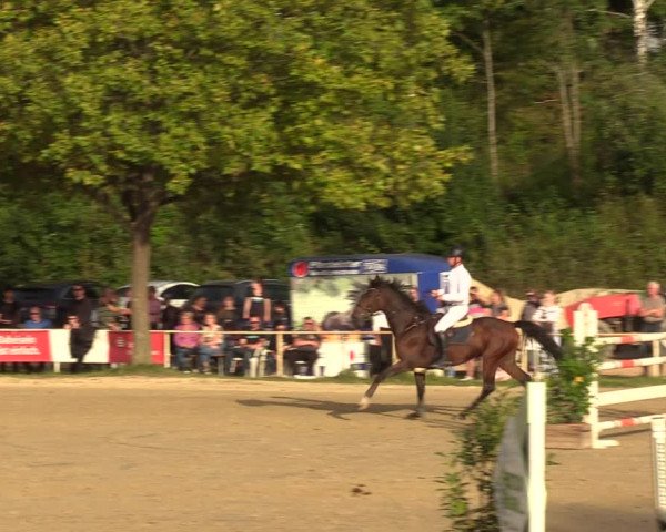 Reitturnier Heiligenwald 2023