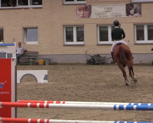 Reitturnier Lgl.-Oberhain, B95 2021