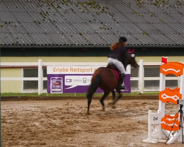 Reitturnier Teupitz 2023