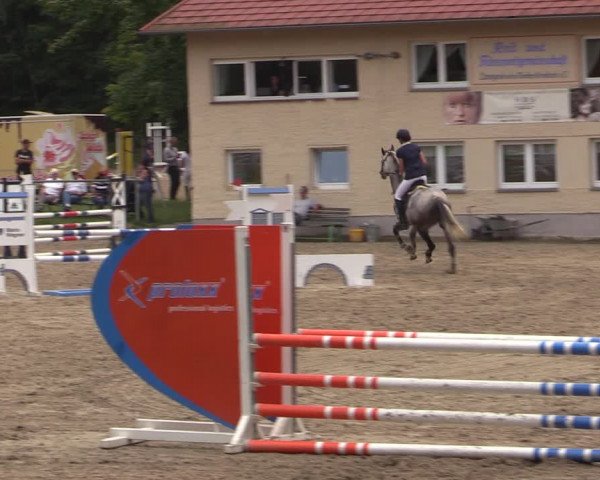 Reitturnier Lgl.-Oberhain, B95 2021