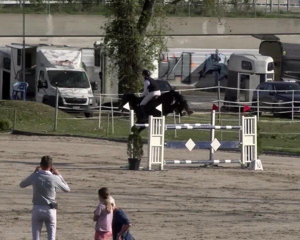Reitturnier Basel 2023