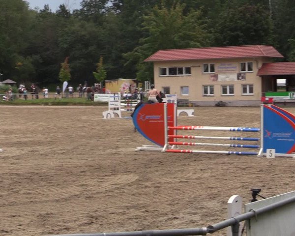 Reitturnier Lgl.-Oberhain, B95 2021