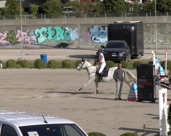 Reitturnier Basel 2023