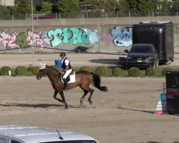 Reitturnier Basel 2023